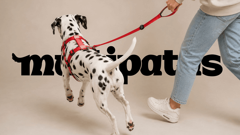 Dálmata passeando ao lado da tutora, com a marca Multipatas