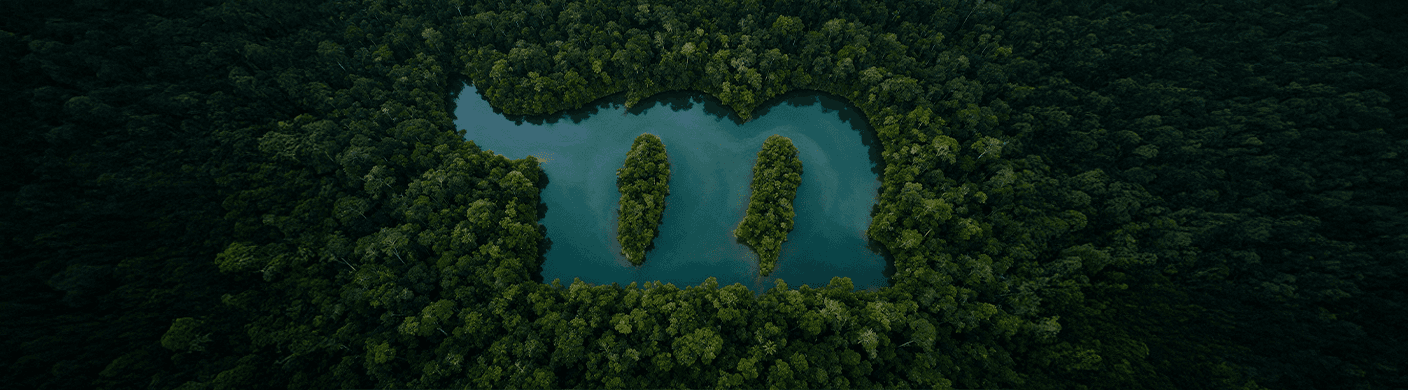 Vista aérea de floresta preservada com lago