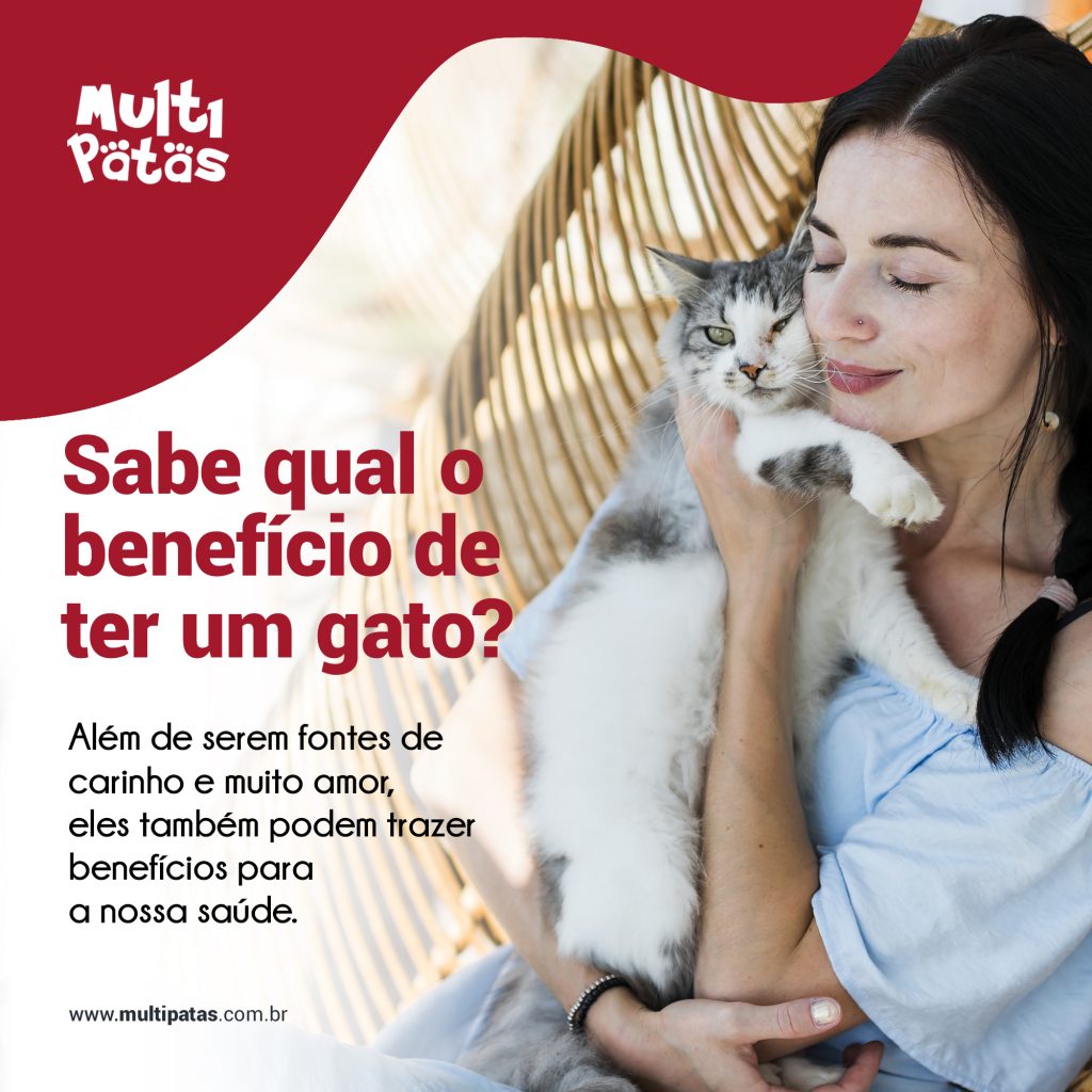 Benefícios de ter um gato