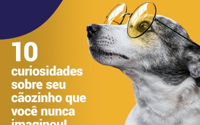 10 curiosidades sobre seu cãozinho que você nunca imaginou