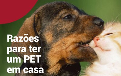 Razões para ter um PET em casa