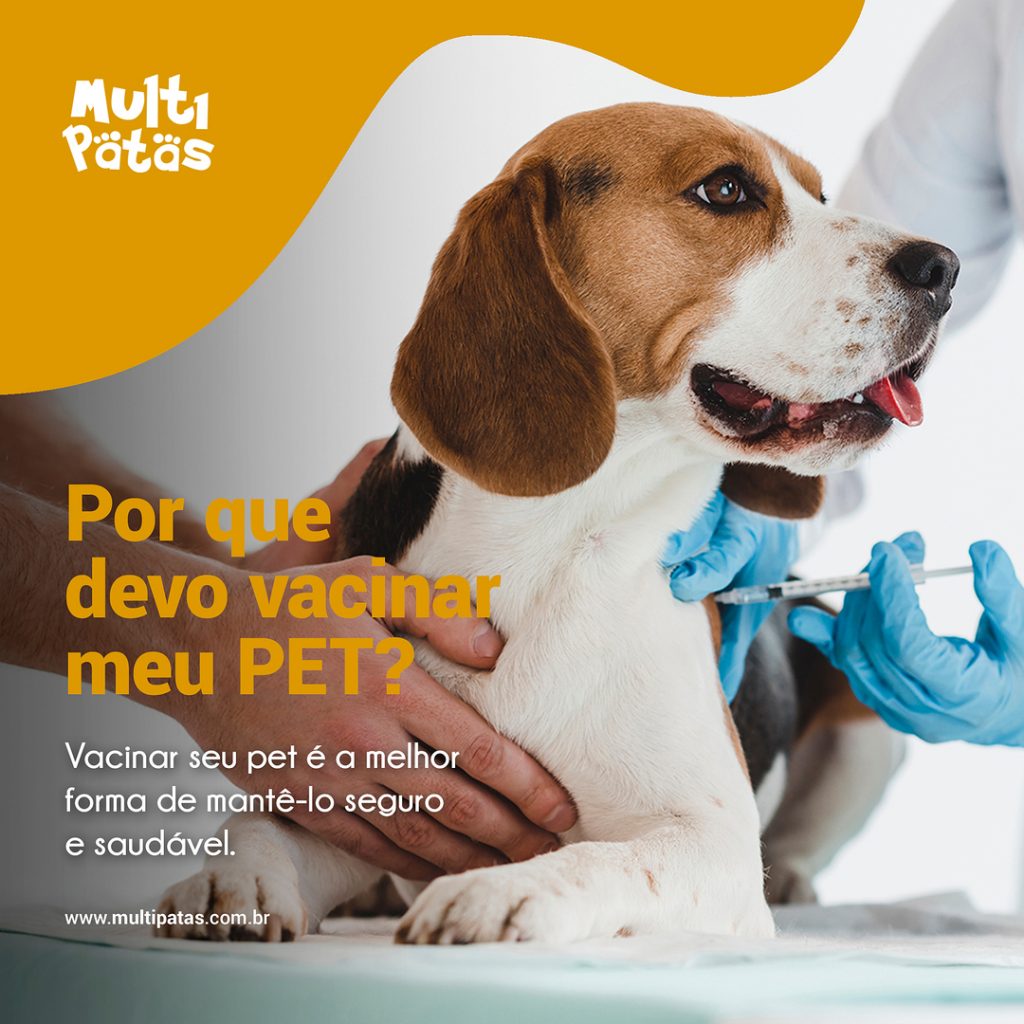 porque devo vacinar meu pet